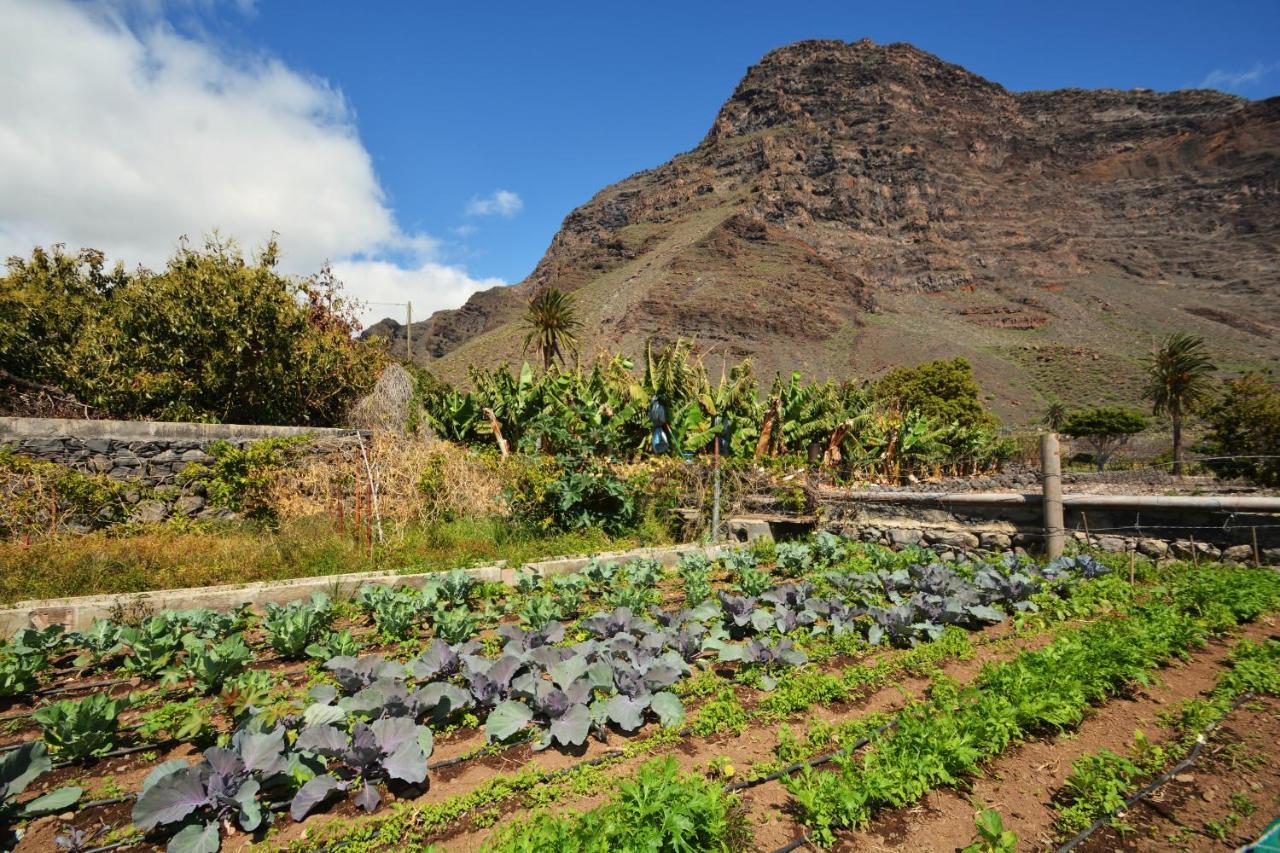 Casa Celia Villa Valle Gran Rey Eksteriør billede